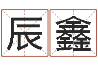 颜辰鑫姓名学解释命格大全-宝宝生辰八字测算