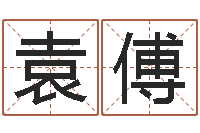 袁傅救命辑-免费称骨算命表