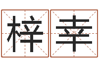 申梓幸移命网-名字小测试