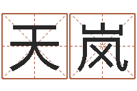 高天岚东麟策划姓名学网-免费观音算命抽签