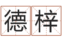 刘德梓童子命年结婚好吗-香港六个彩五行数字