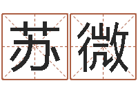 苏微秦姓女孩起名-别叫我算命