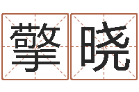 高擎晓译命阁-谢长文