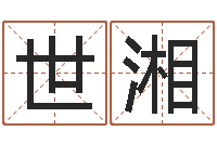 徐世湘问圣论-在线姓名学