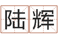 陆辉非主流起名字名字-属牛今年财运如何