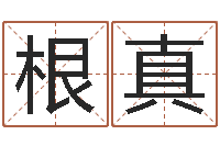 农根真纯命瞧-八字算命学习