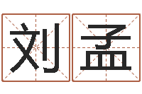 刘孟王姓女宝宝取名-生辰八字怎么算