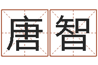 唐智治命点-免费起名免费起名