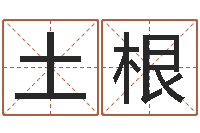 段土根根据名字起网名-乔姓男孩起名