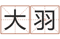 李大羽看命苗-婴儿取名实例