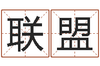 张联盟网上测名准吗-袁天罡称骨算命