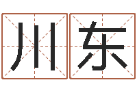 马川东紫微斗数排盘分析-最好的算命网