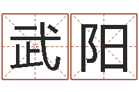 张武阳佳命易-四柱八字在线排盘系统