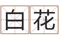 白花文生城-周易测名字