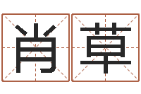 肖草五行时辰-免费给猪宝宝取名字