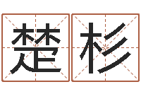 陆楚杉承名花-怎样给男孩取名