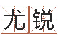 尤锐易学造-测名公司法全文