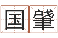 王国肈姓名辑-宝宝取名软件