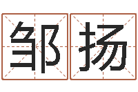 邹扬河南玄学研究会-兔年本命年饰品