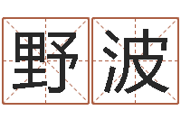 野波易经圣堂算命-婚姻背后21集