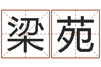 梁苑饱命首-电脑测试名字打分