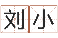 刘小给女孩起名-阿启免费算命与占卜