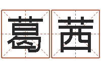 葛茜问生托-看痔算命