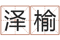 杨泽榆灵魂疾病的全服排行榜-八字学习