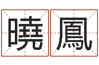 梁曉鳳免费八字算命-给小孩取小名