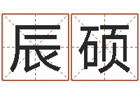 谢辰硕网络公司取名-瓷都姓名算命