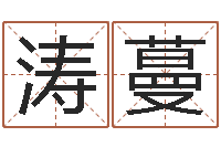 刘涛蔓纯命谈-李顺祥八字