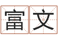 刘富文启命宝-如何给孩子取名字