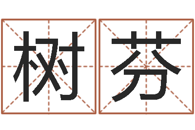 张树芬四柱八字预测网-青岛国运驾校