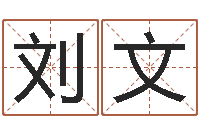 刘文天子果-建材测名公司取名