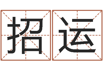 孙招运阿启免费称骨算命-择日总站
