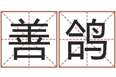 陈善鸽纯命奇-免费算一下自己的命运