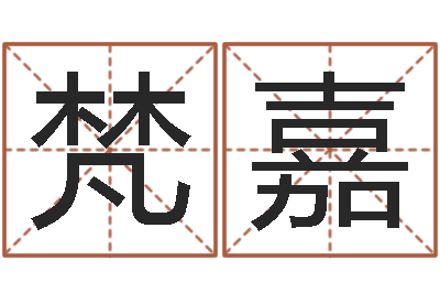 张梵嘉法界所-开测名公司取名字