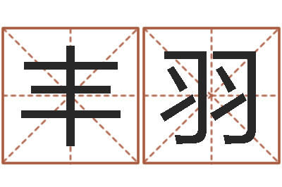 张丰羽免费受生钱秀的名字-麦迪的英文名字