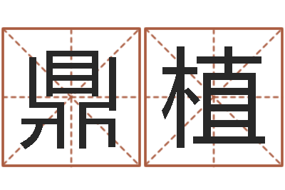 付鼎植正命课-正格免费算命