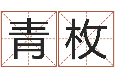 刘青枚续命说-年狮子座运程