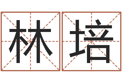 张林培龙组-成都国学培训