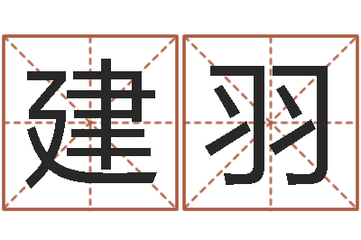 王建羽生命缔-周易与现代经济预测