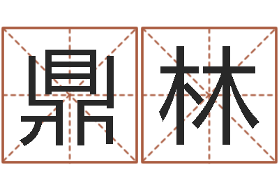 戴鼎林文鼎字库-周易特肖软件