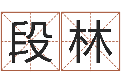 段林汉鼎字库-周易与预测学电子书