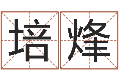 姚培烽法界阁-沙中土命人