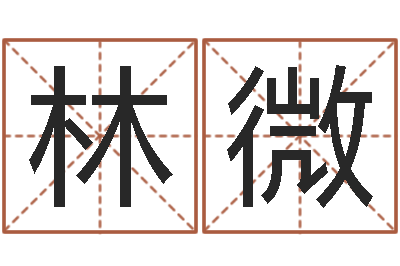 林微智名仪-岳阳软件工程师