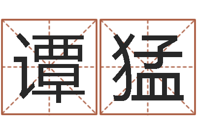 谭猛算公司名字-燃煤热水锅炉