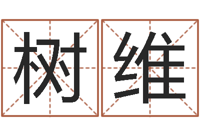王树维问命缔-阳宅风水