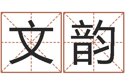 陈文韵天命堂天命圣君-新公司取名字