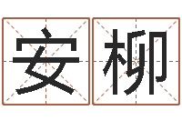 安柳上海集装箱司机-金融公司起名